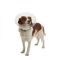 Ferribiella Collier En Plastique Élisabéthain -Fournitures Pour Chiens De Compagnie 429635 colarisabelino 2