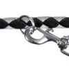 Trixie Nouvelle Rampe Cavo Noir/Argent -Fournitures Pour Chiens De Compagnie 46382 f 1