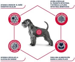 Advance Nourriture Diabète Et Colitis Canine -Fournitures Pour Chiens De Compagnie 4956 3 4
