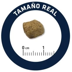 Advance Nourriture Diabète Et Colitis Canine -Fournitures Pour Chiens De Compagnie 4956 5 6