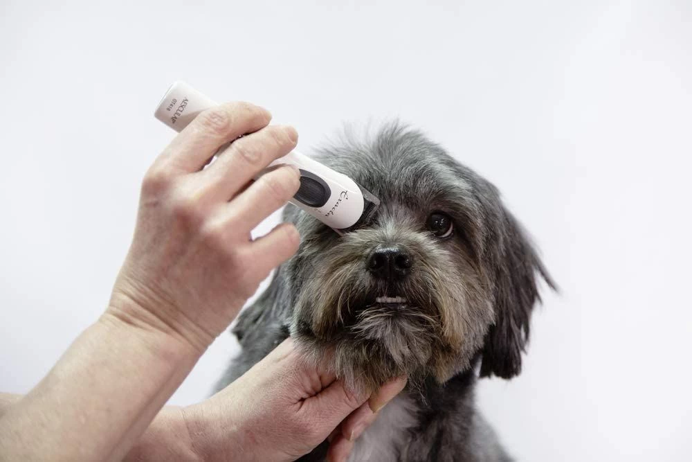 Artero Tondeuse Exacta 7 Artero Tondeuse Exacta – Image 5