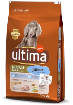 Ultima Nourriture Medium Maxi Junior Poulet Et Riz