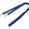Freedog Laisse D'entraînement Rembourrée Bleu -Fournitures Pour Chiens De Compagnie 79188 8429083026158 1