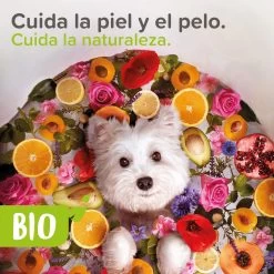 Beaphar Bio Spray Anti-emmêlement Pour Chiens Et Chats 9 Beaphar Bio Spray Anti-emmêlement Pour Chiens Et Chats -Fournitures Pour Chiens De Compagnie 8711231121816 3 64649ea6101e8