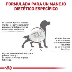 Royal Canin Nourriture Gastro-intestinal Low Fat 22 Canine -Fournitures Pour Chiens De Compagnie BENFICIOS 62fcc1ddd6962