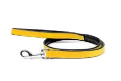 Gloria Pets Cuir Rembourré Jaune -Fournitures Pour Chiens De Compagnie CR07911AM 637e02d02840d