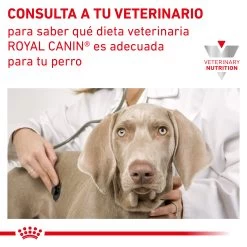 Royal Canin Nourriture Hepatic HF16 Canine -Fournitures Pour Chiens De Compagnie INFO 62fcc18572931