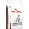 Royal Canin Nourriture Hepatic HF16 Canine -Fournitures Pour Chiens De Compagnie PACKSHOT 62fcc18041027