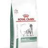 Royal Canin Nourriture Diabetic Canine -Fournitures Pour Chiens De Compagnie PACKSHOT 62fcdedd0b852