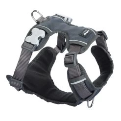 Red Dingo Huile Rembourrée Grise