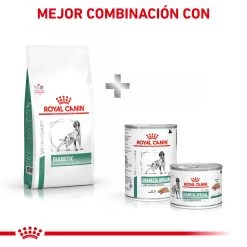 Royal Canin Nourriture Diabetic Canine -Fournitures Pour Chiens De Compagnie RC VET DRY DogDiabetic CV Eretailkit 7 es ES 62fcdee47b1b3