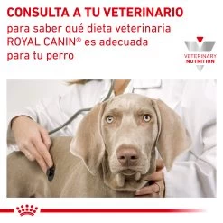 Royal Canin Nourriture Diabetic Canine -Fournitures Pour Chiens De Compagnie RC VET DRY DogDiabetic CV Eretailkit 8 es ES 62fcdee652d5d