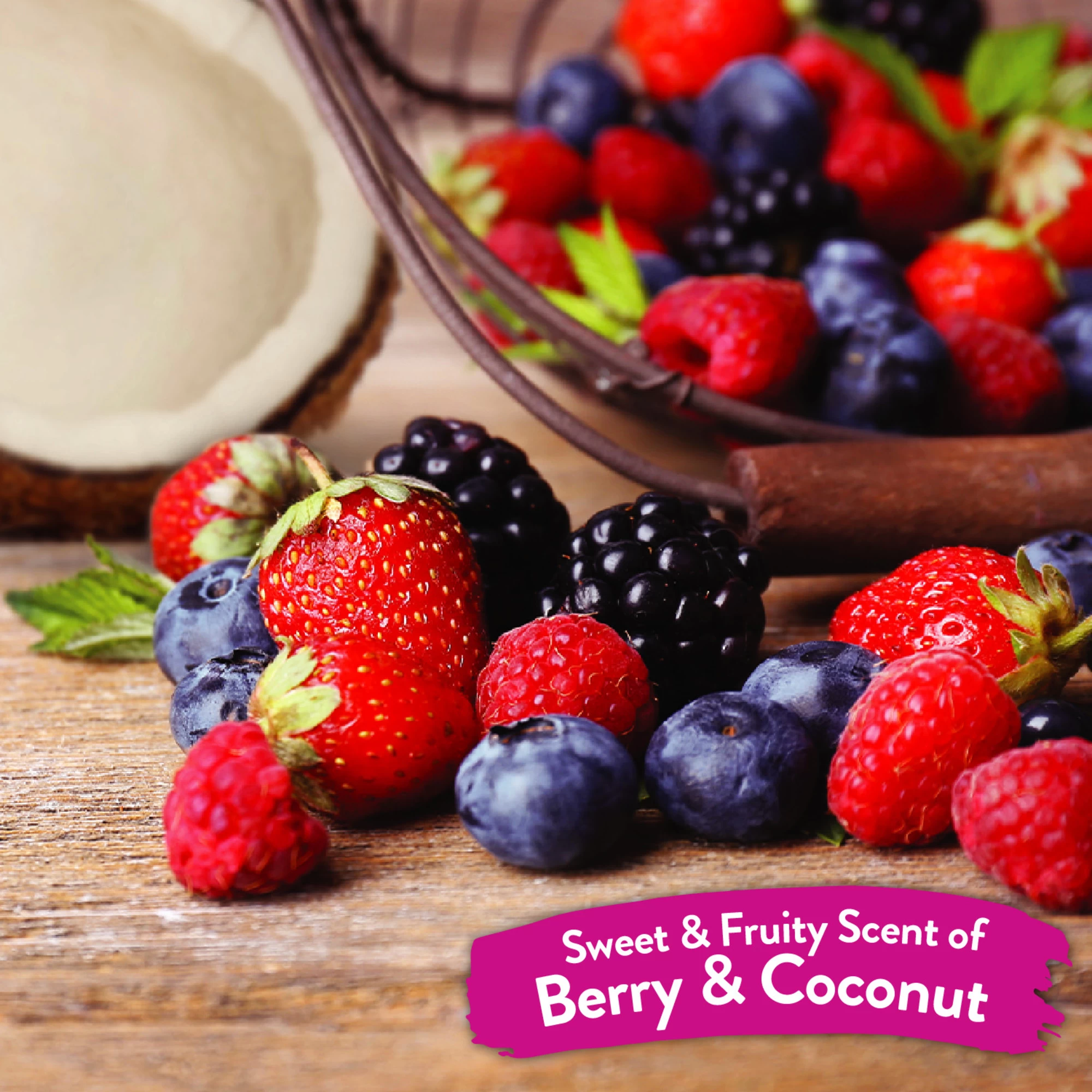 TropiClean Lingettes Pour Nettoyer En Profondeur Les Fruits Rouges Chez 4 TropiClean Lingettes Pour Nettoyer En Profondeur Les Fruits Rouges Chez – Image 2