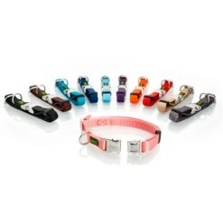 Hunter Col Vario Basic Alu Strong Collier Couleur Orange -Fournitures Pour Chiens De Compagnie hunter hunter coleira alu strong 63aca2810d684