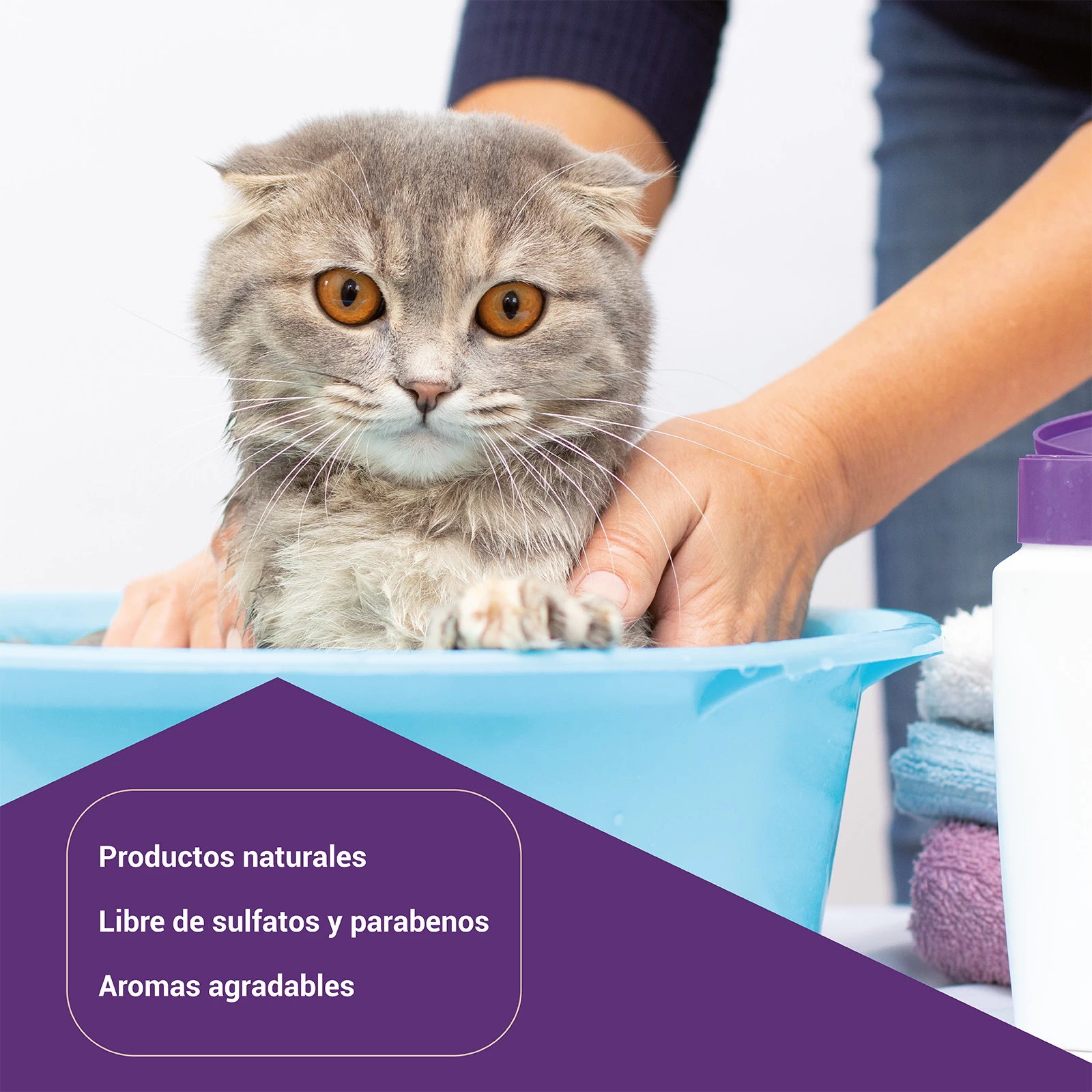 Flor De Loto Spray Desenredante Magic Para Perros Y Gatos 4 Flor De Loto Spray Desenredante Magic Para Perros Y Gatos – Image 2