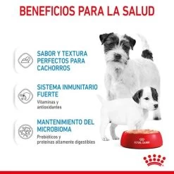 Lot 12 Royal Canin Starter Mousse -Fournitures Pour Chiens De Compagnie rc spt wet startermousse can cv 3 es es 624ad6eb59a50