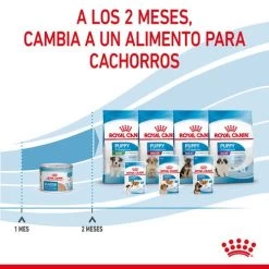 Lot 12 Royal Canin Starter Mousse -Fournitures Pour Chiens De Compagnie rc spt wet startermousse can cv 8 es es 624ad6e8e0713